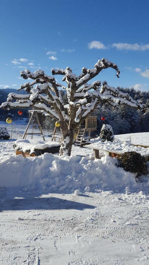 Hoelzlhof Brunico Esterno foto